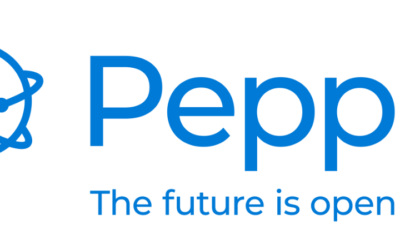 Elektronische facturatie binnen schermclubs: wat zijn de regels?